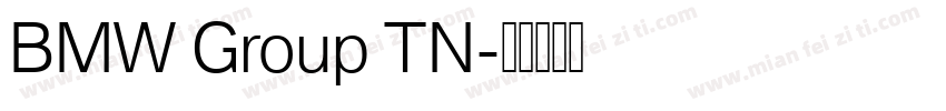 BMW Group TN字体转换